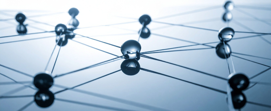 Beyond Technical Expertise: Relationship Capital
